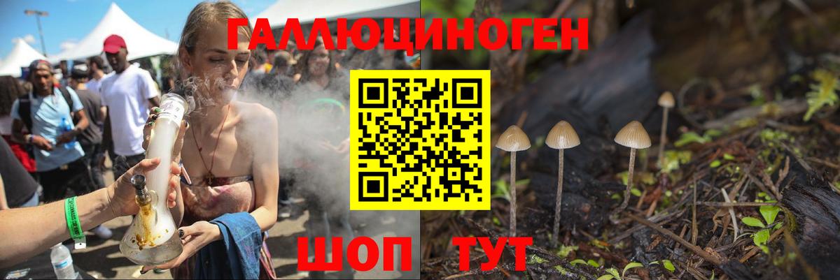 Псилоцибиновые грибы Cubensis  Вход с VPN  Кирово-Чепецк 
