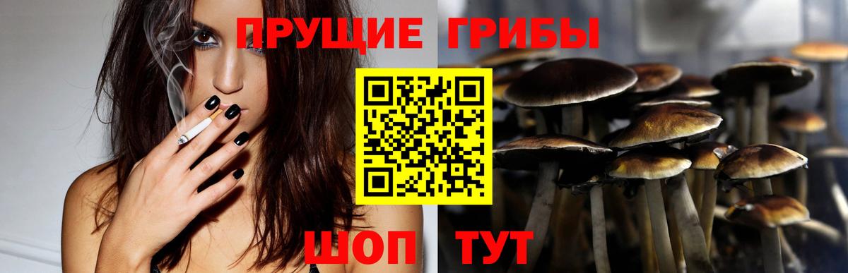 Галлюциногенные грибы Psilocybine cubensis Кирово-Чепецк